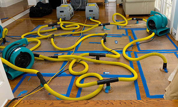 Professional Sewage Cleanup technician working in Notrees, TX